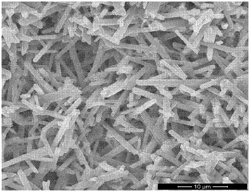 Forming method for preparing Si3N4 porous ceramic through tertiary butyl alcohol (TBA)-based gel casting method