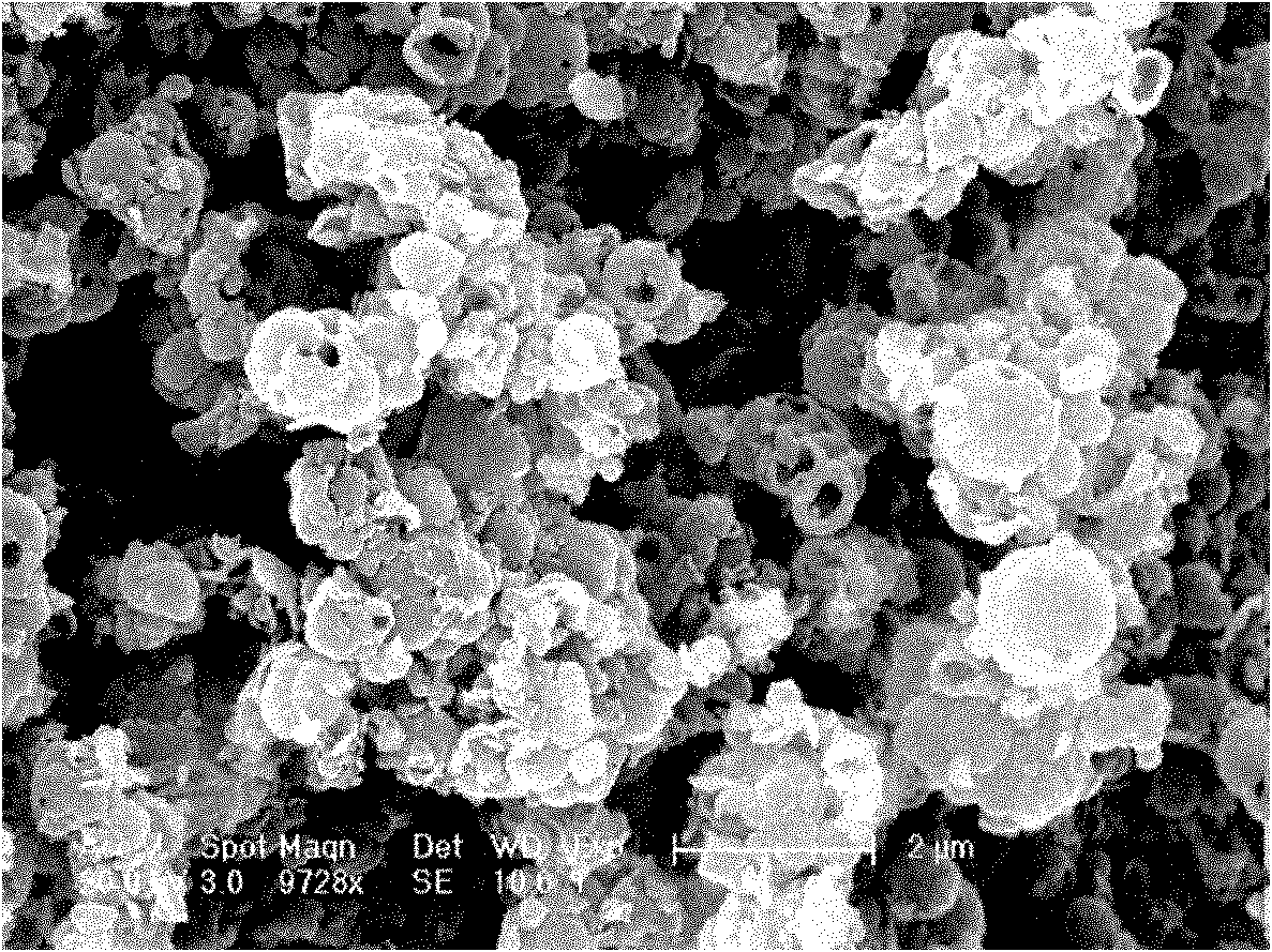 Method for preparing hollow polyaniline microspheres