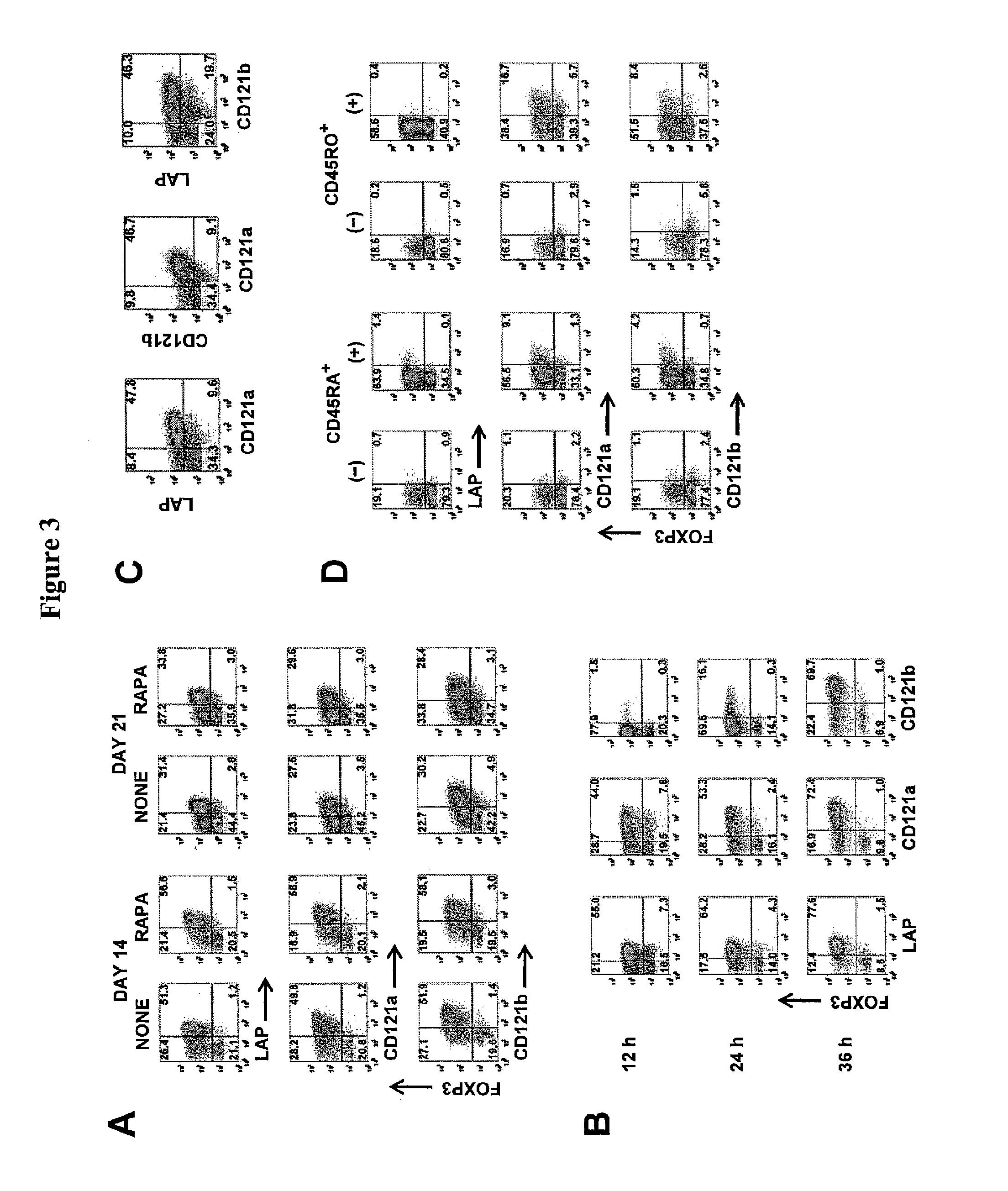 Methods of enriching and using regulatory t cells