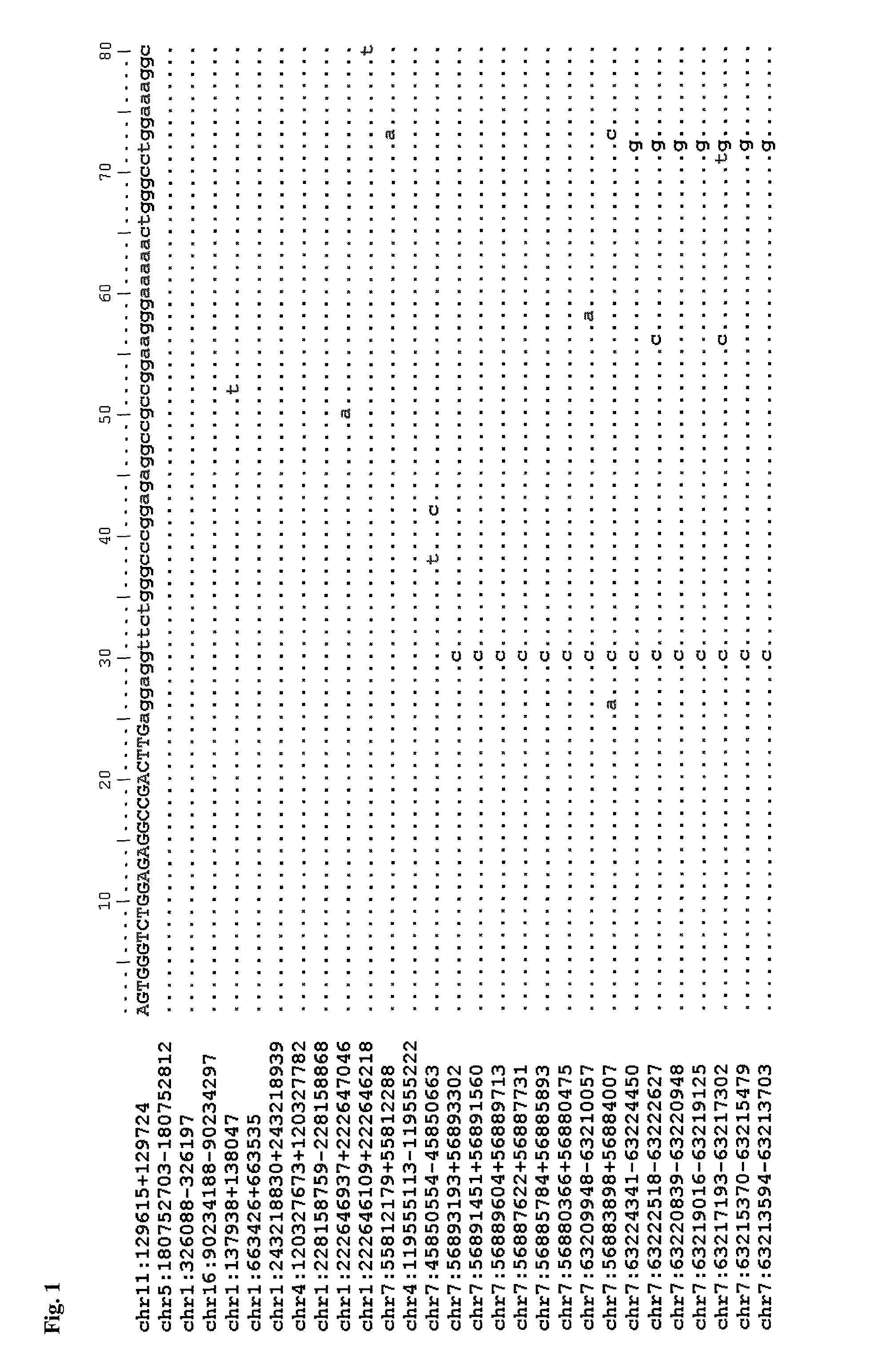 Method for detecting and/or quantifying human DNA