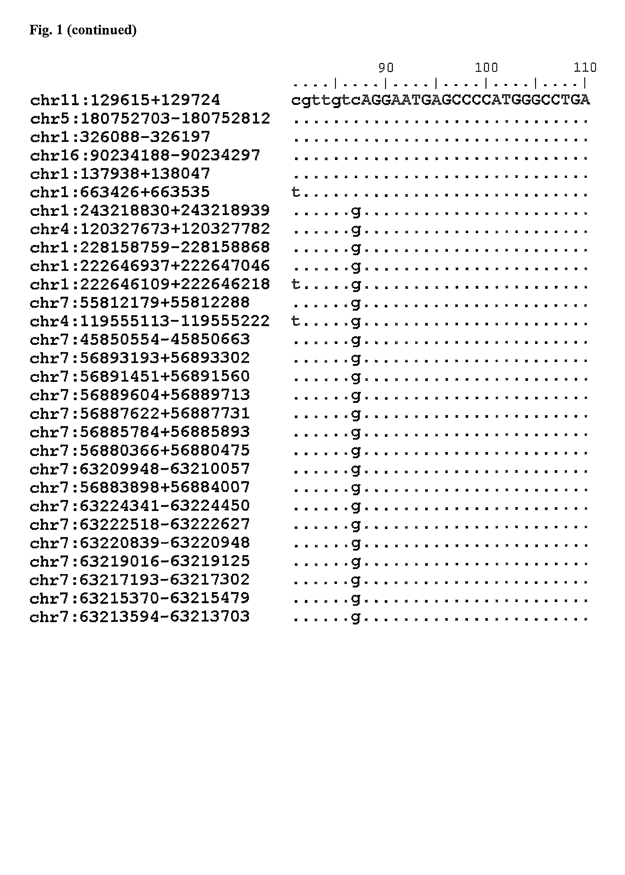 Method for detecting and/or quantifying human DNA