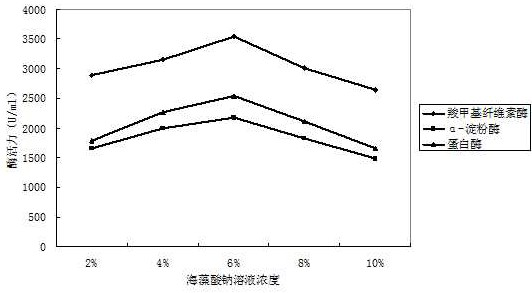 A kind of method that utilizes immobilized cell technology to ferment and produce feed enzyme preparation