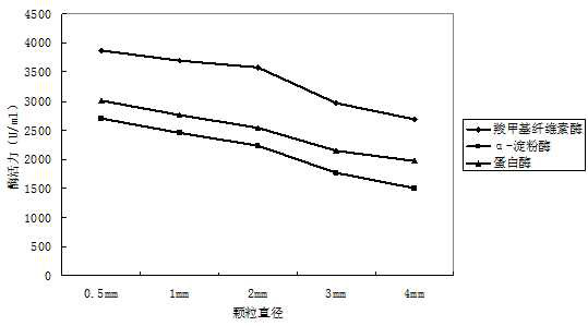 A kind of method that utilizes immobilized cell technology to ferment and produce feed enzyme preparation