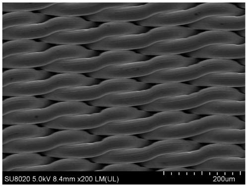 Preparation method and application of nonmetal doped stainless steel mesh composite material