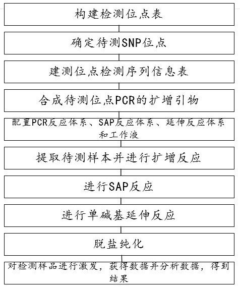 Method for detecting expected curative effect of docetaxel and cis-platinum and efficient typing of gene loci related to toxic and negative effects and application of gene loci efficient typing method