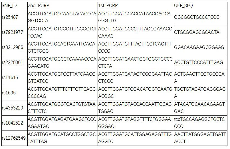 Method for detecting expected curative effect of docetaxel and cis-platinum and efficient typing of gene loci related to toxic and negative effects and application of gene loci efficient typing method