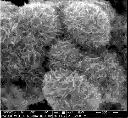 Preparation method of molybdenum trioxide microsphere in three-dimensional hierarchical structure