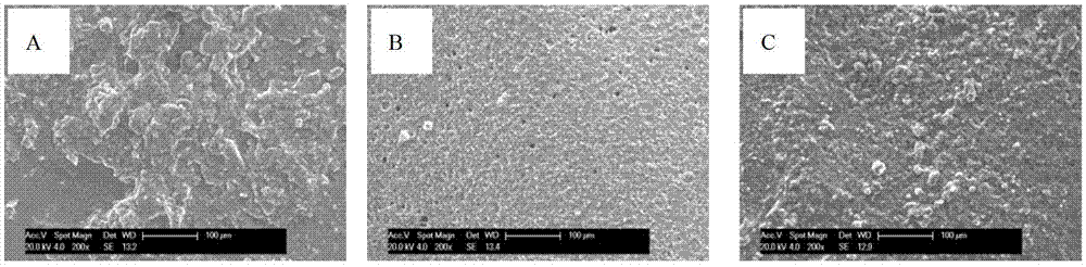 A kind of preparation method of zein film with high anti-oxidation property