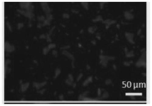 A kind of peptoid and its preparation method and application