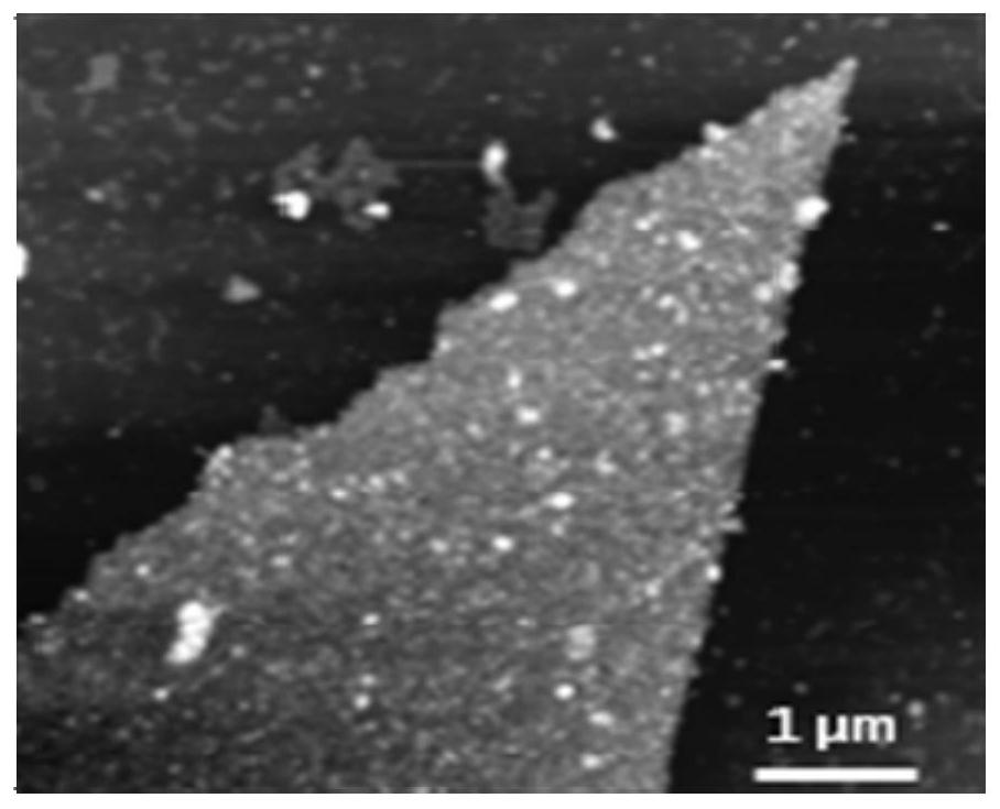 A kind of peptoid and its preparation method and application