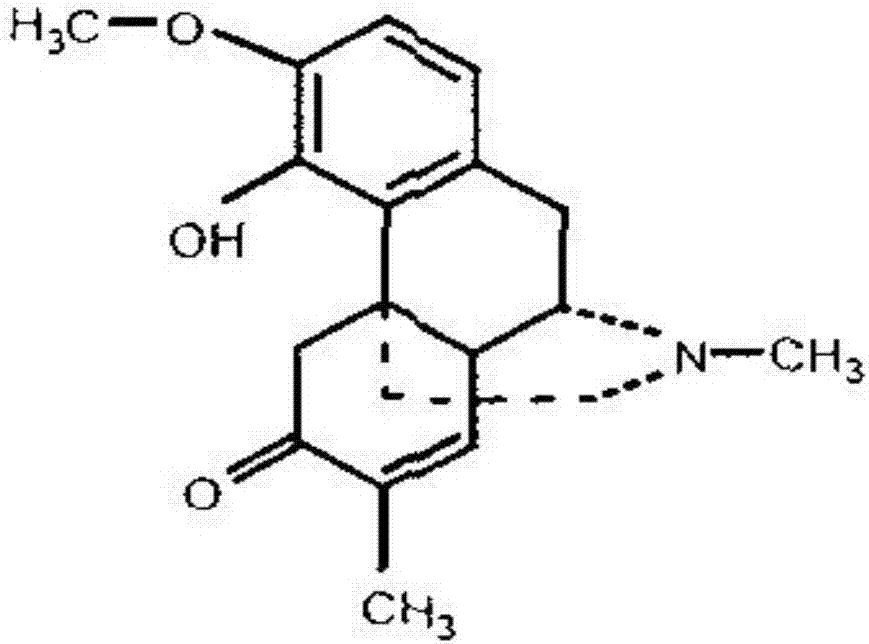 Application of sinomenine in preparation of drug for treating photosensitive dermatitis