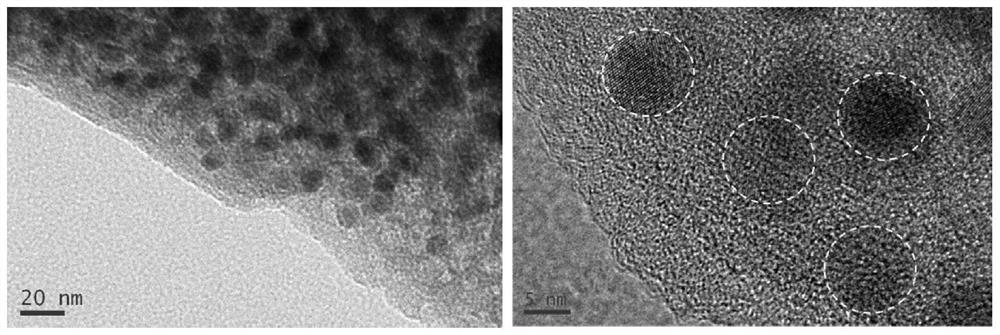 A transition metal chalcogenide carbon-based heterostructure composite material with regular morphology and its preparation method and application