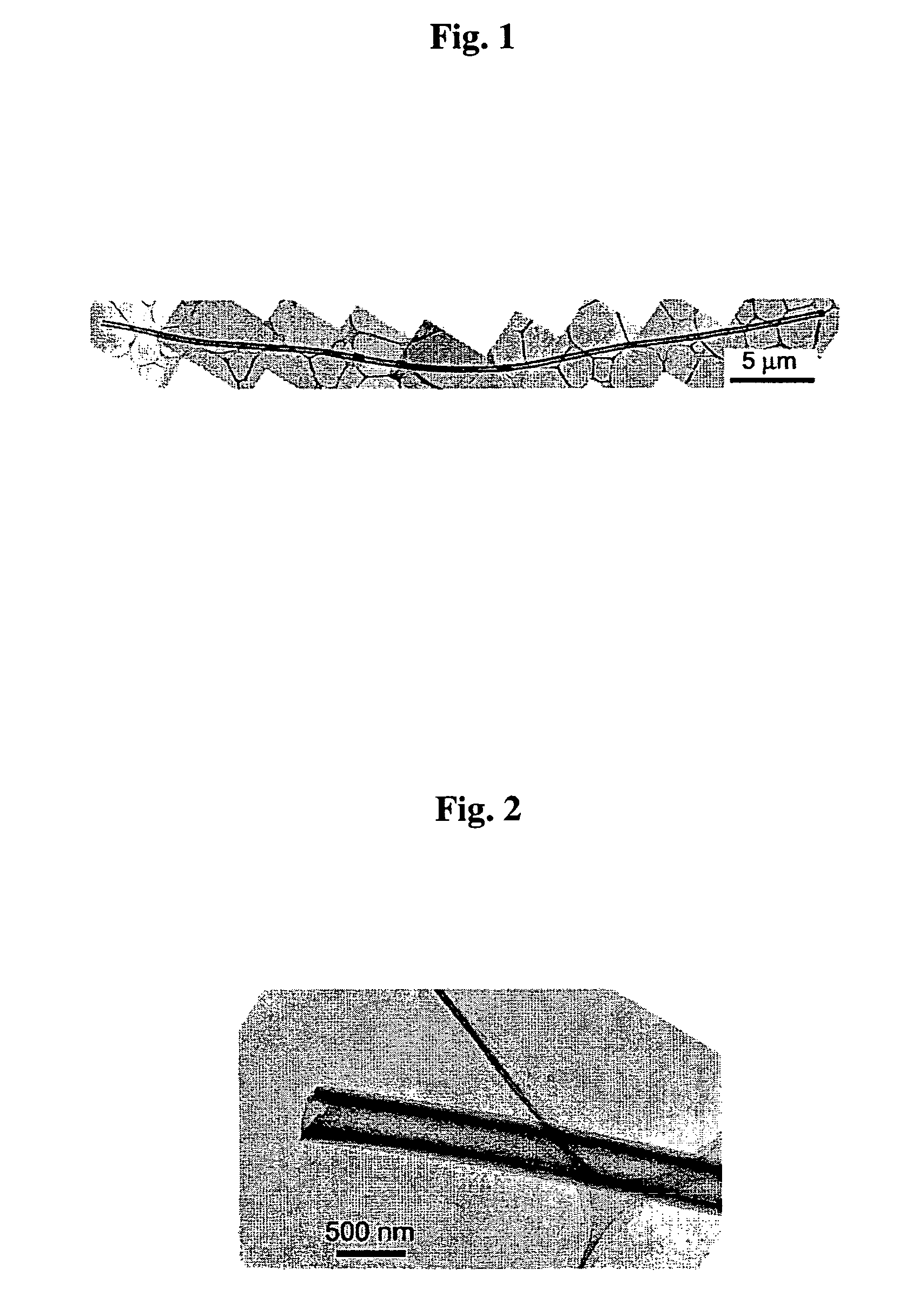 C70Fullerene Tube And Process For Producing The Same