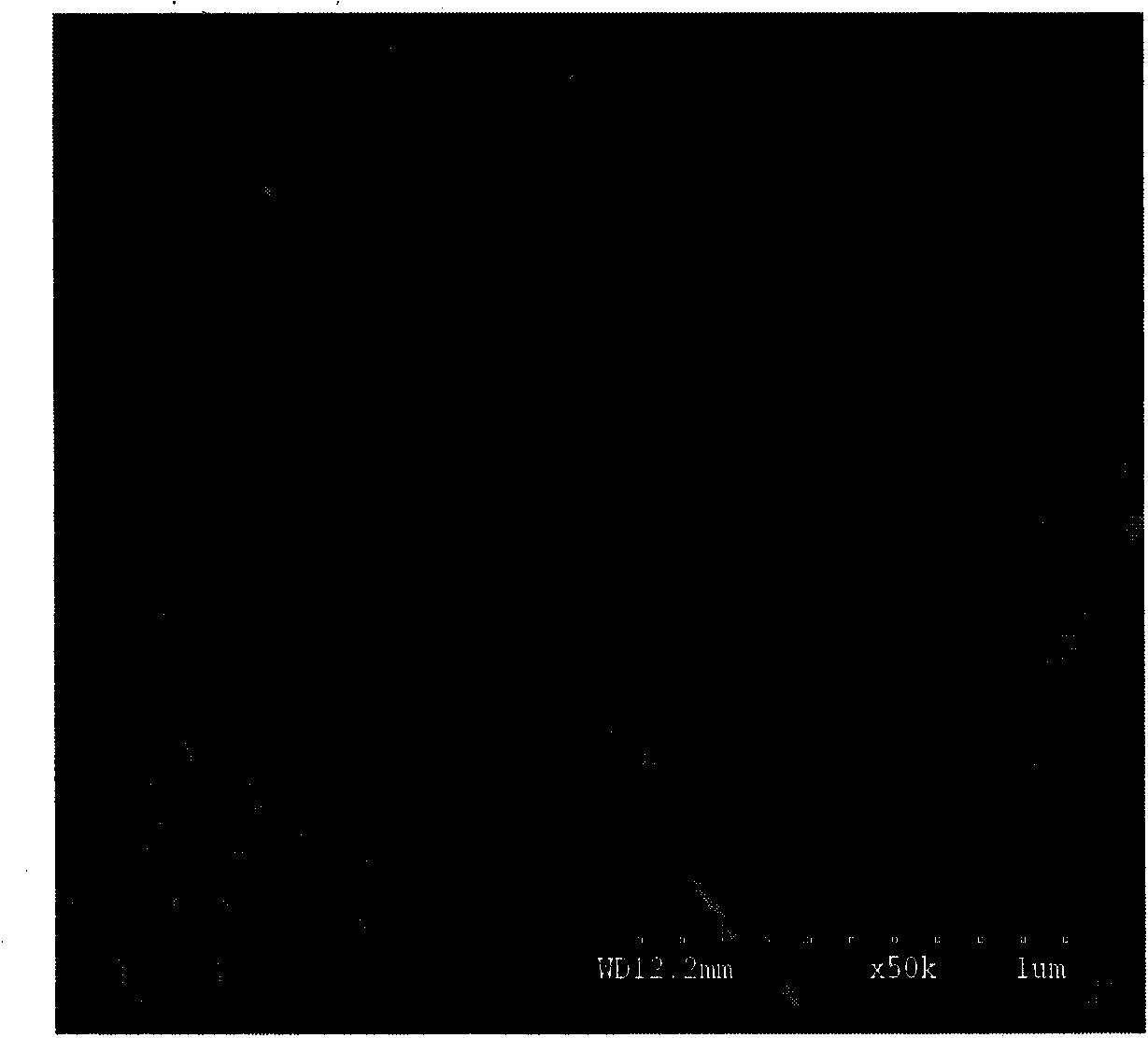 Method for preparing Pt catalyst with carbon carrier as carrier