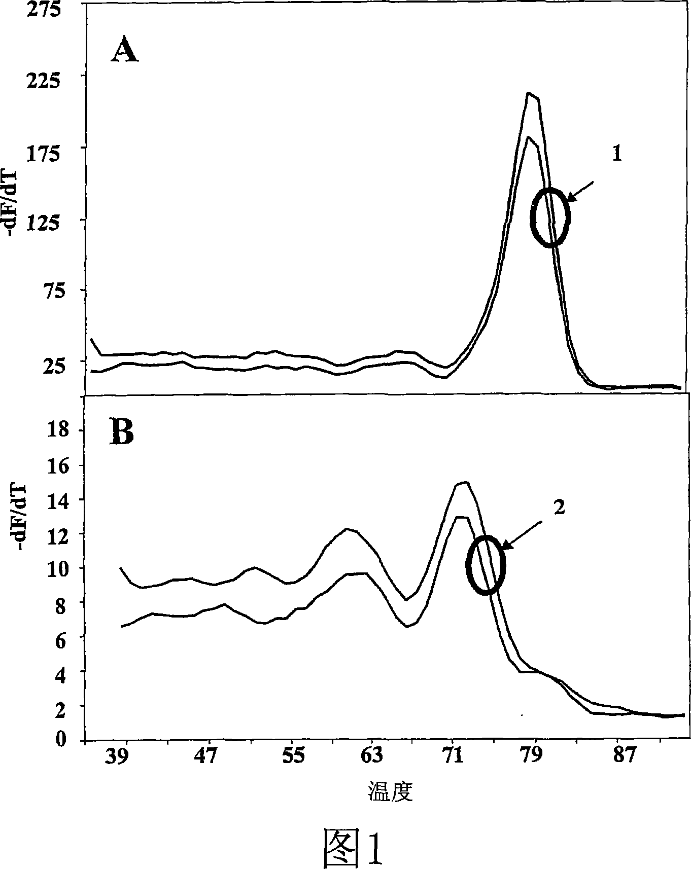 Primers, probes and methods for nucleic acid amplification