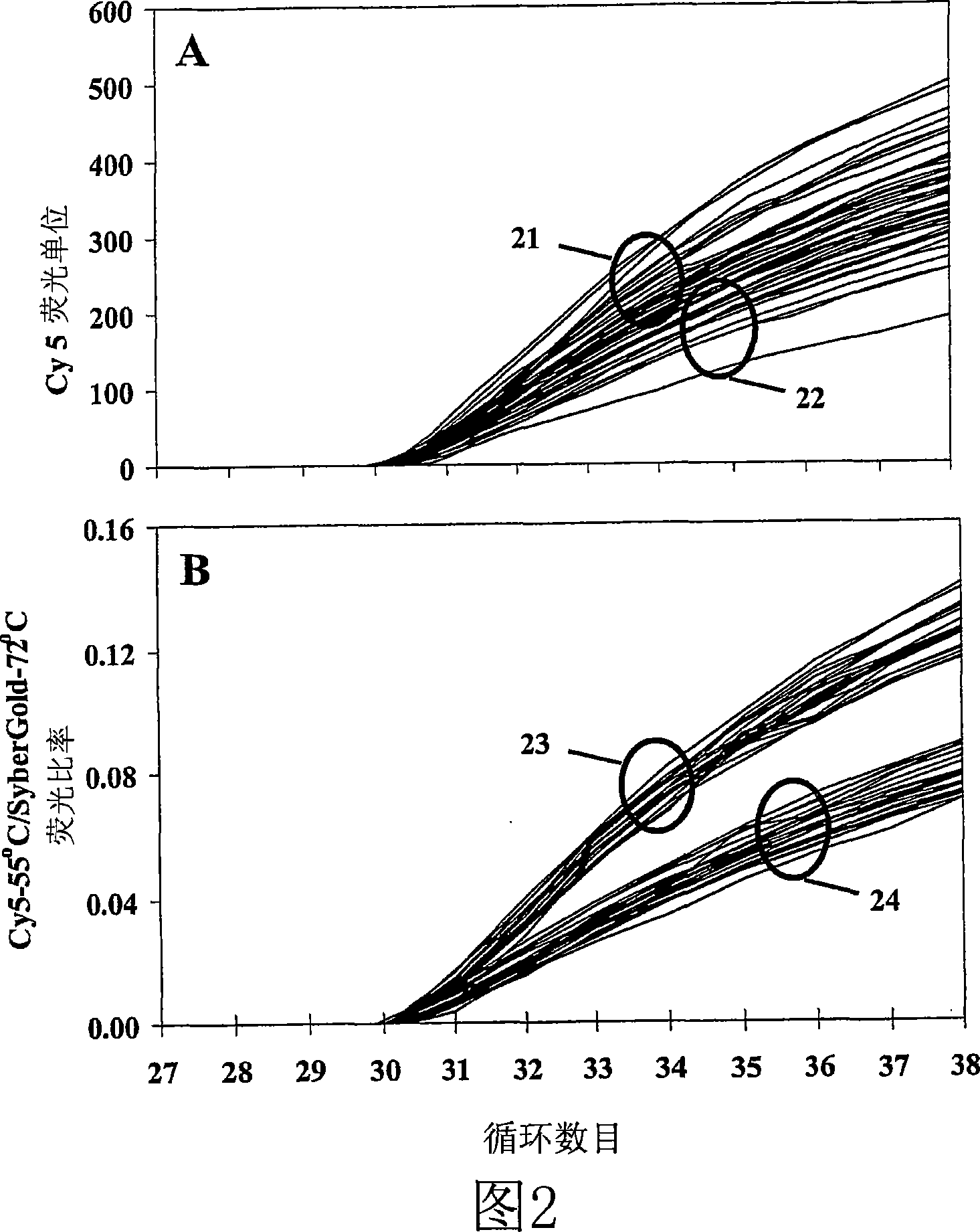 Primers, probes and methods for nucleic acid amplification