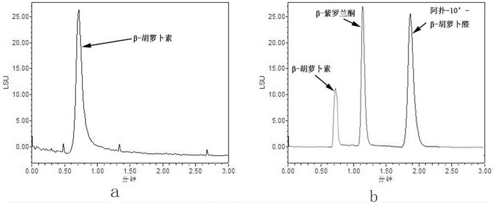 Preparation method and application of carotenoid 9,10' dioxygenase