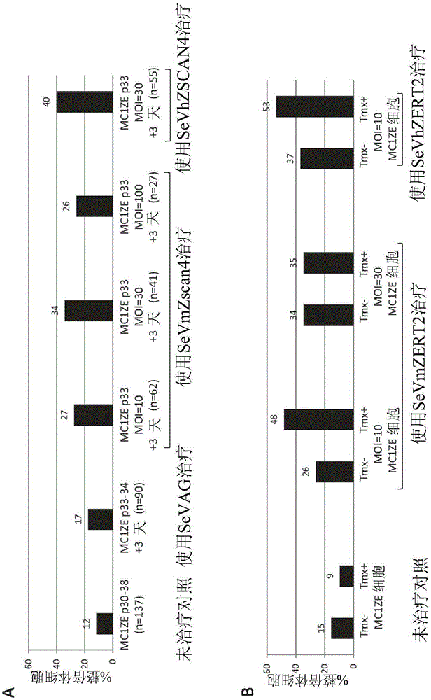 Methods of using ZSCAN4 for rejuvenating human cells