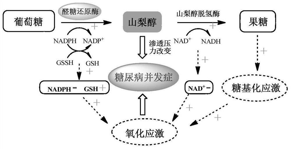 A kind of tetrazolium substituted quinolinone derivative and its preparation method and application