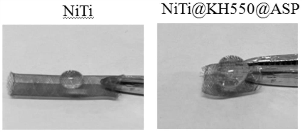 Preparation method of stent with anticoagulation coating and stent