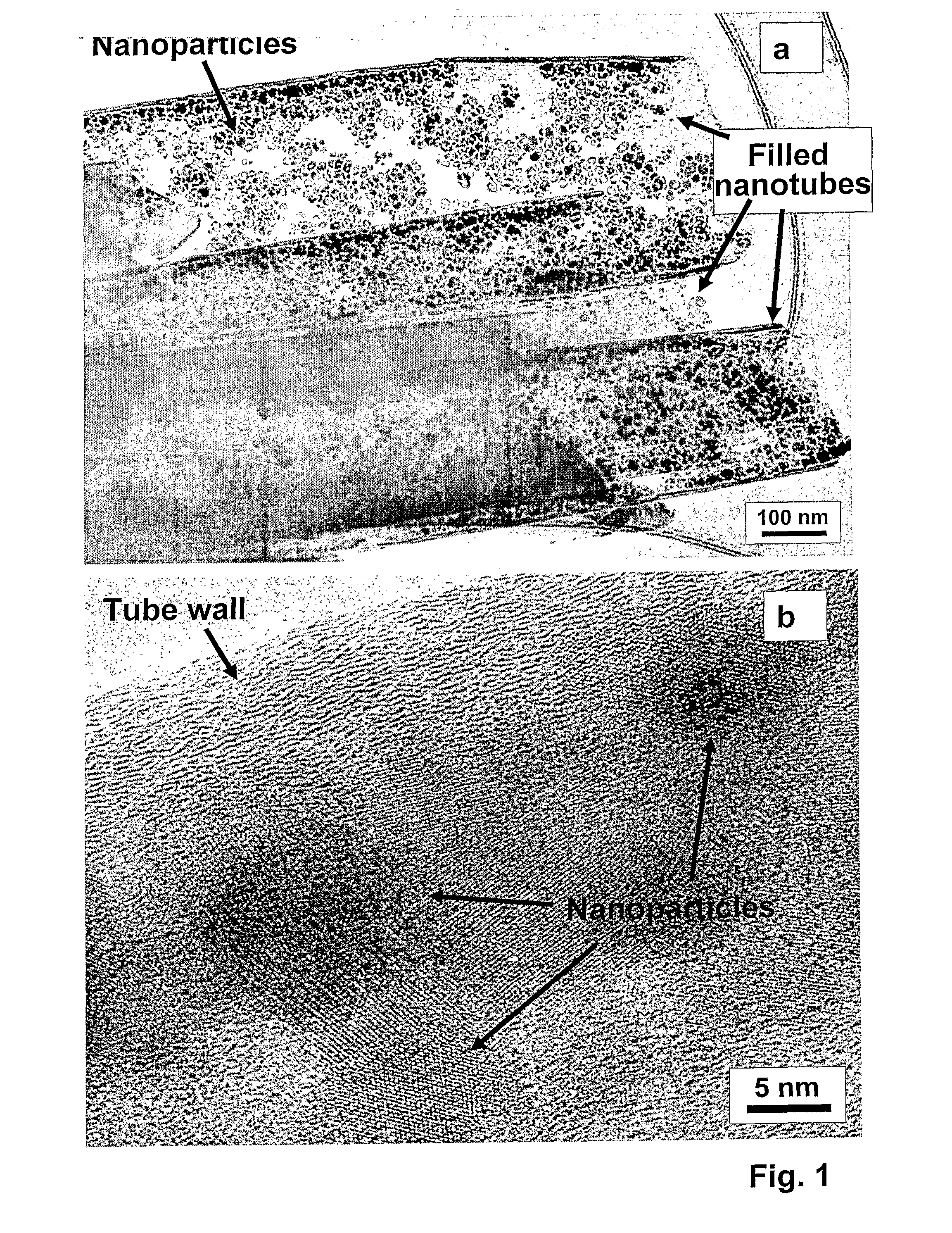 Functional nanoparticle filled carbon nanotubes and methods of their production