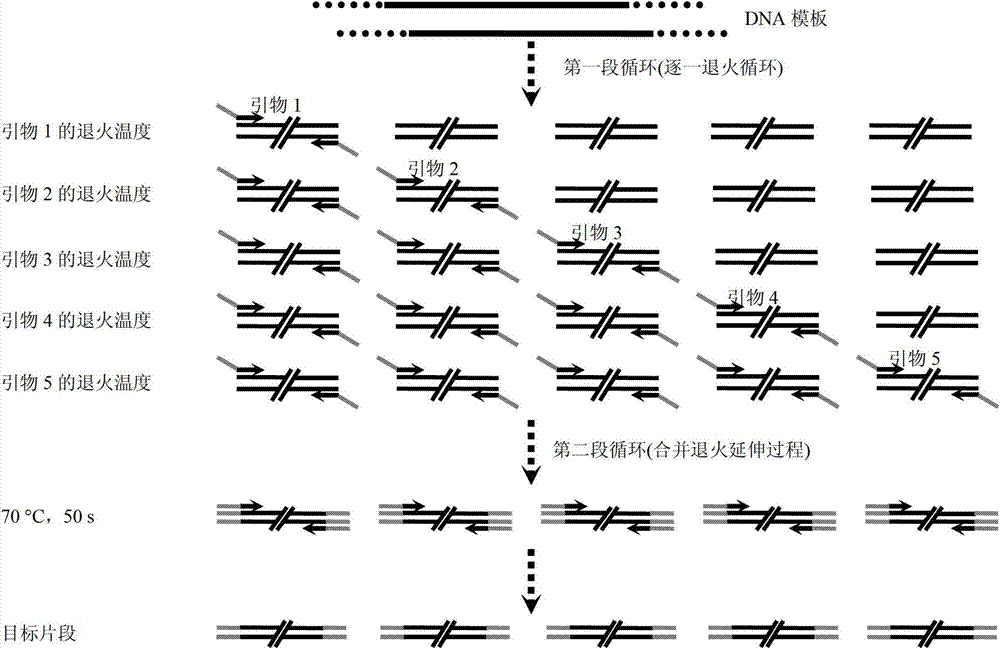 Universal multiple PCR (Polymerase Chain Reaction) method