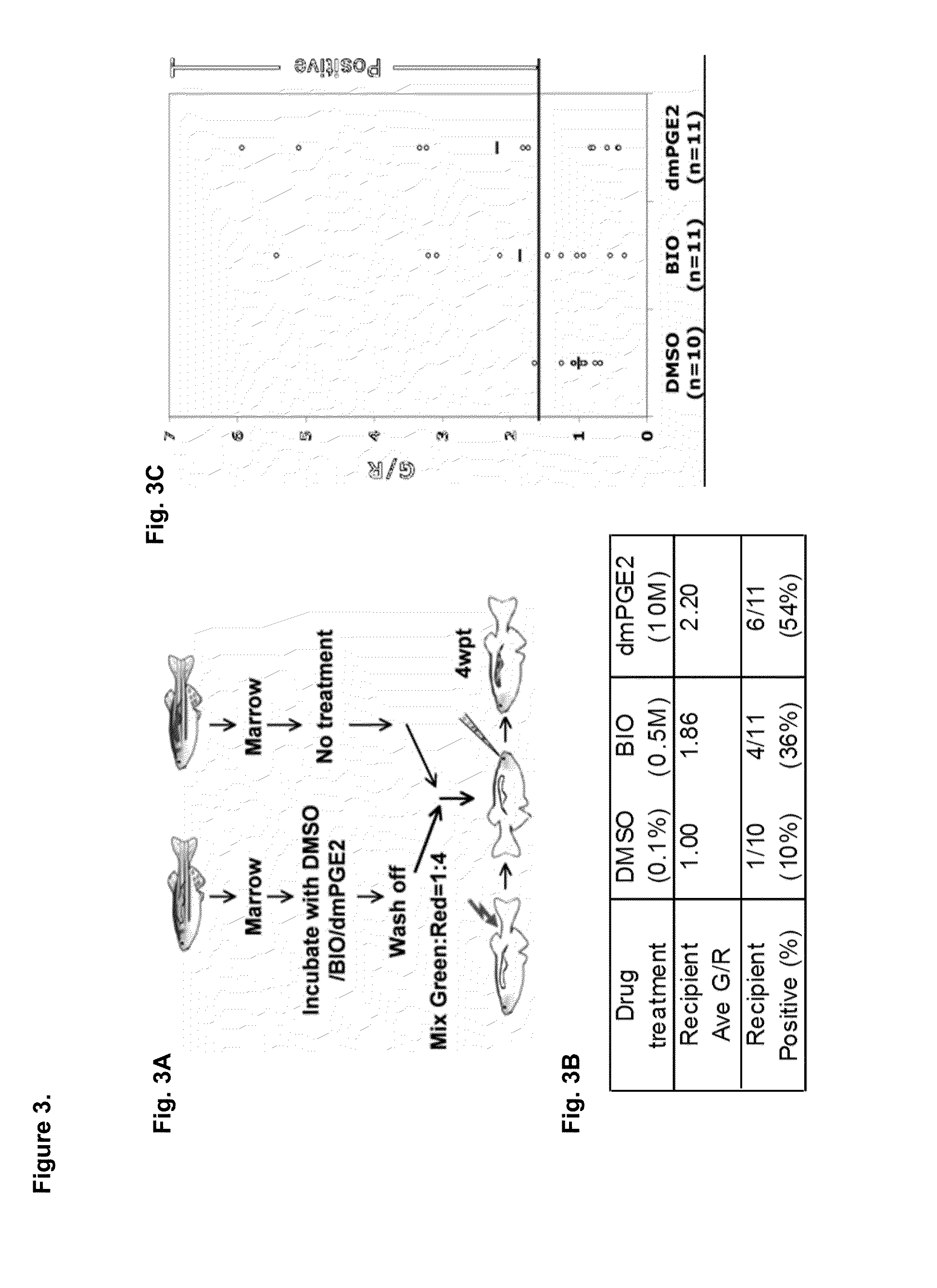 Methods for enhancing hematopoietic stem/progenitor cell engraftment