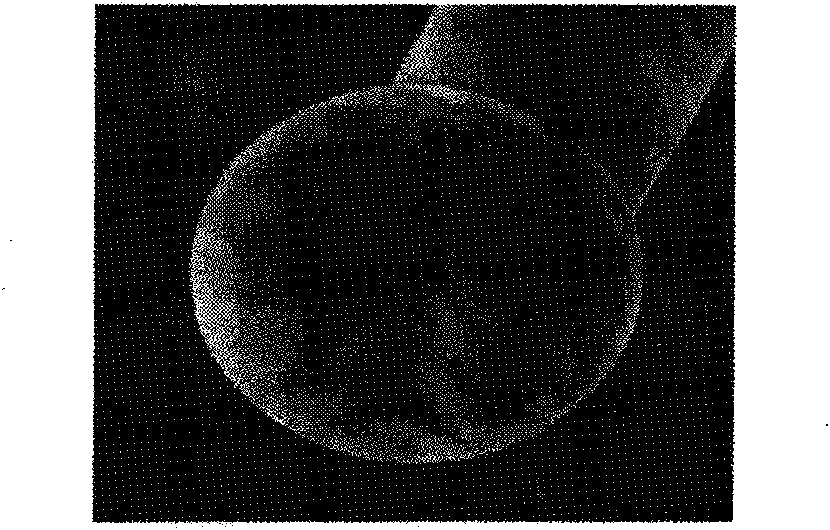 Bonding filamentary silver and preparation method thereof