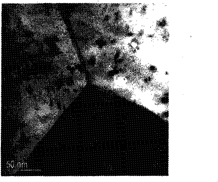 Bonding filamentary silver and preparation method thereof