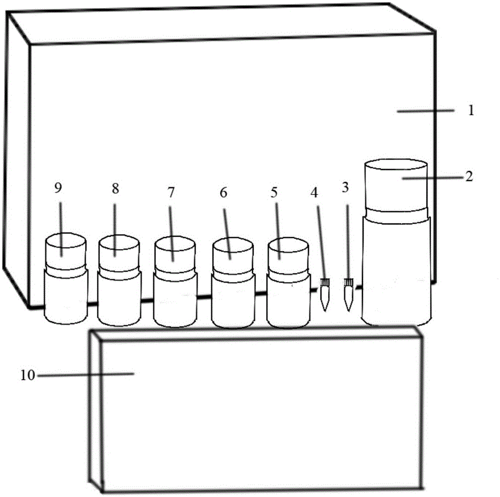 Preparation method of Treponema pallidum total antibody biotin avidin ELISA kit