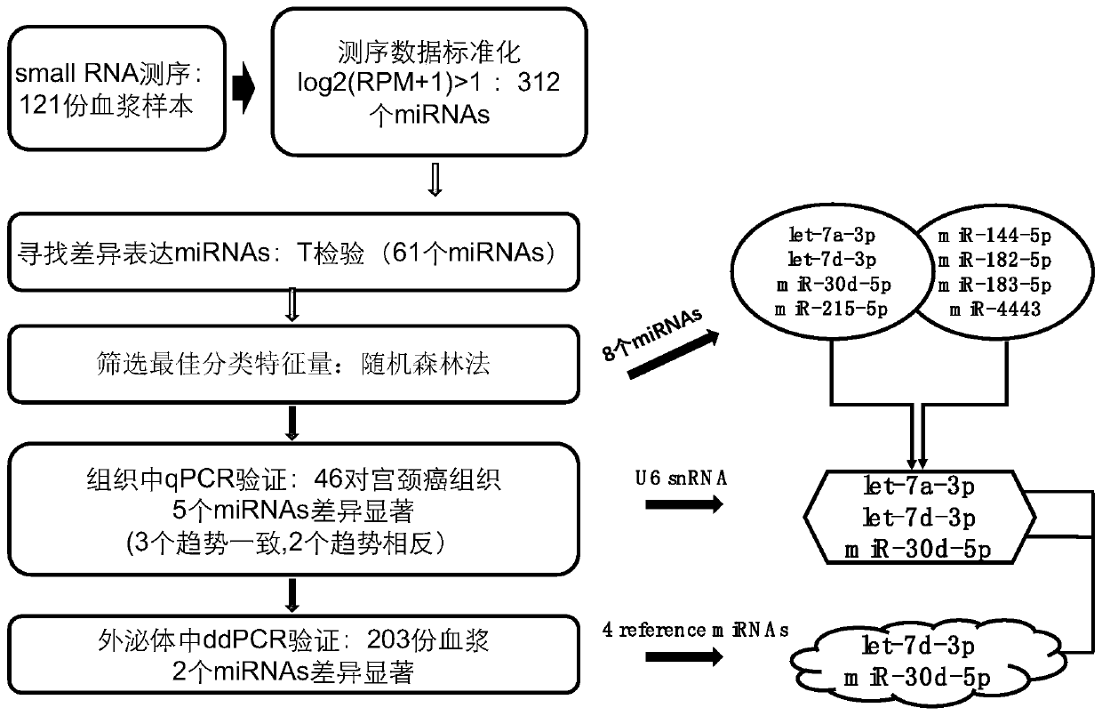 Plasma exosome miRNA molecular marker and application thereof in preparation kit