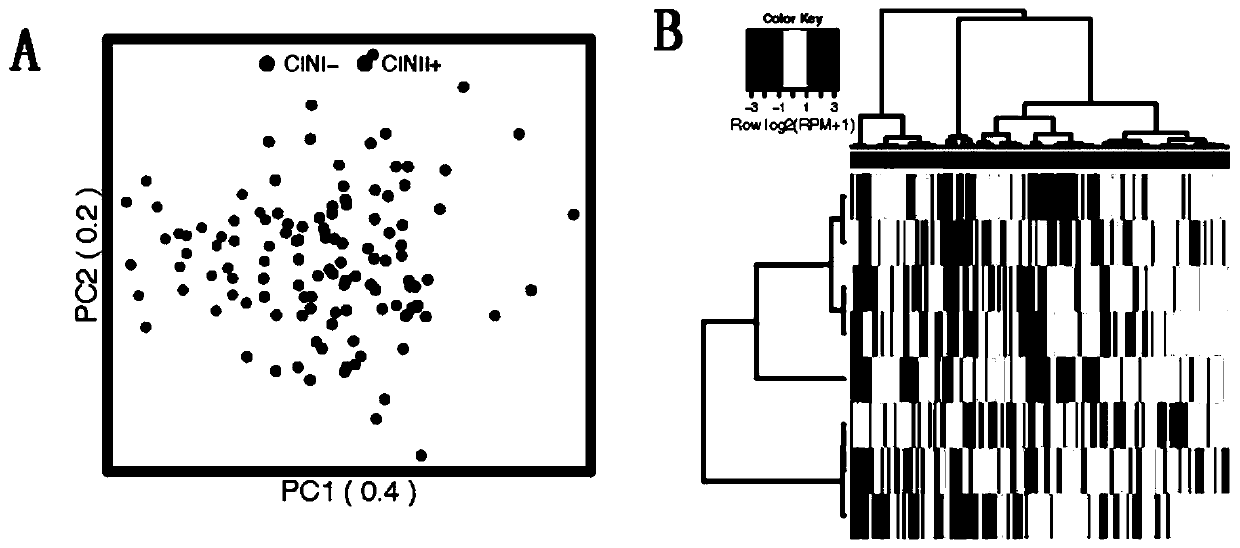 Plasma exosome miRNA molecular marker and application thereof in preparation kit