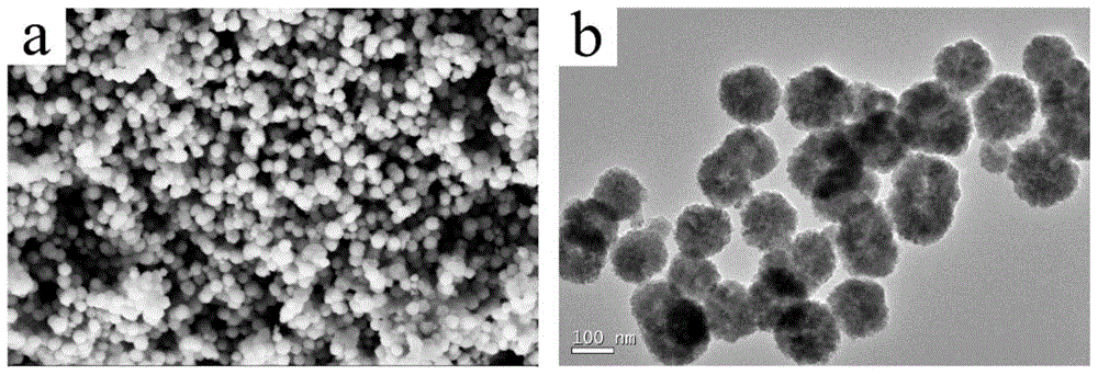 cu  <sup>2+</sup> ‑edta‑fe  <sub>3</sub> o  <sub>4</sub> Magnetic particle and preparation method and application