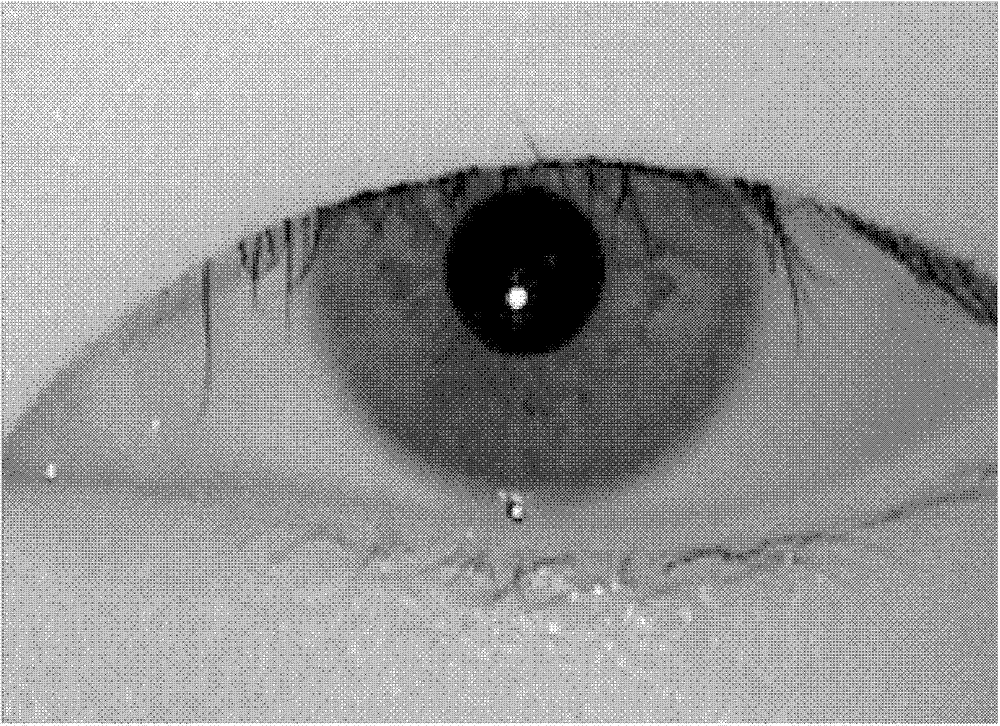 Weighting comparison method for motion-blur iris recognition