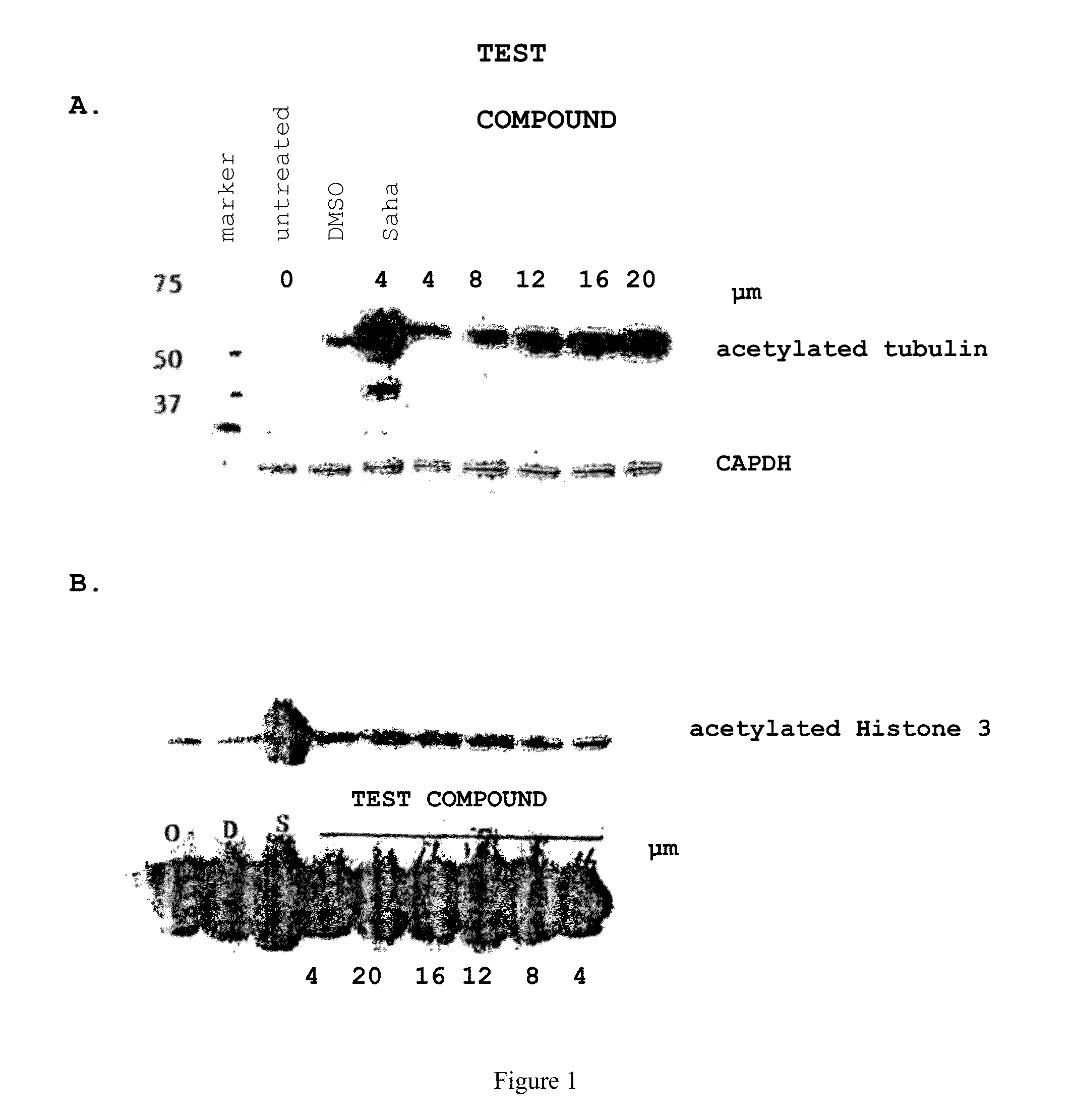 Selective HDAC inhibitors