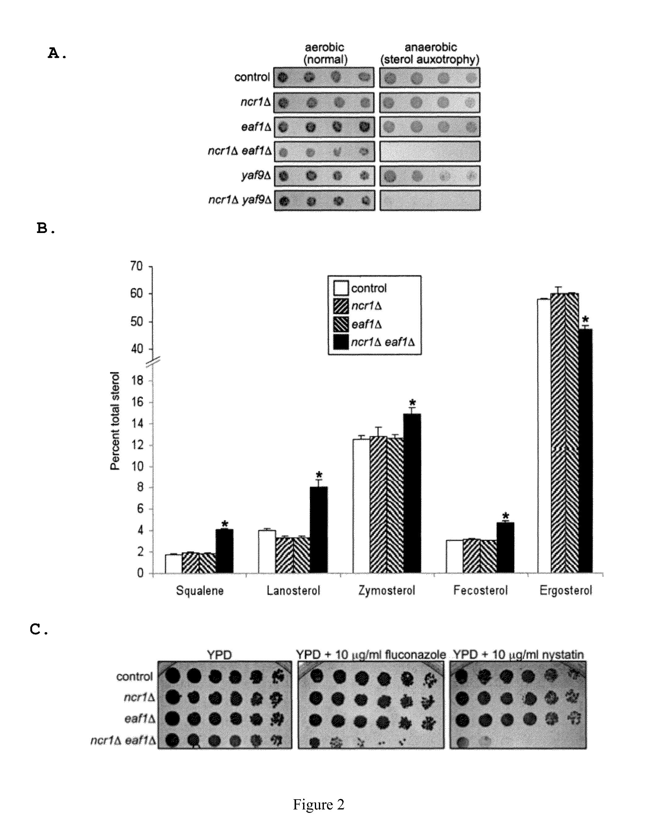 Selective HDAC inhibitors