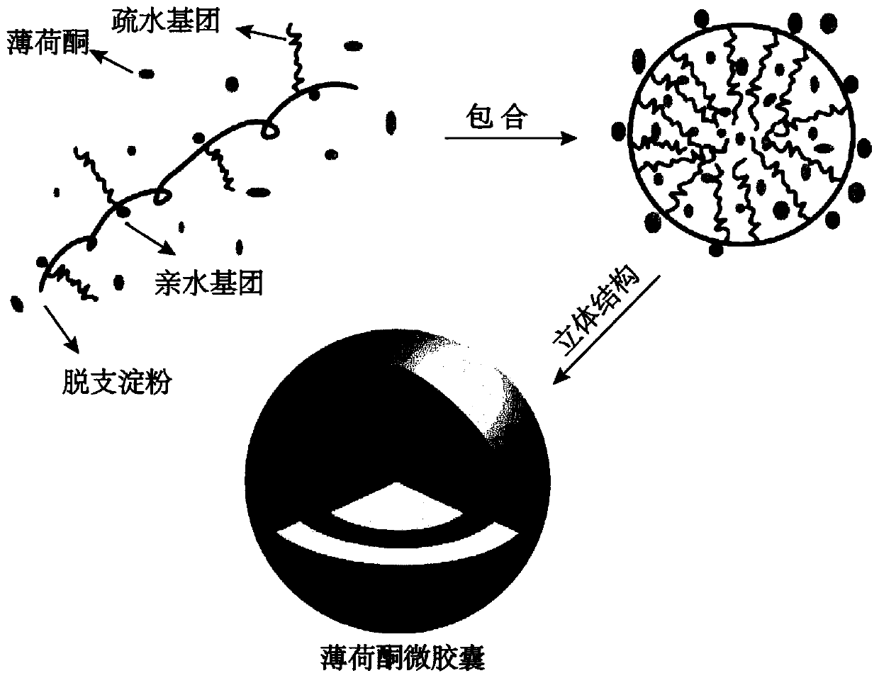 Preparation method of menthone microcapsule and application of menthone microcapsule in chewing tobacco