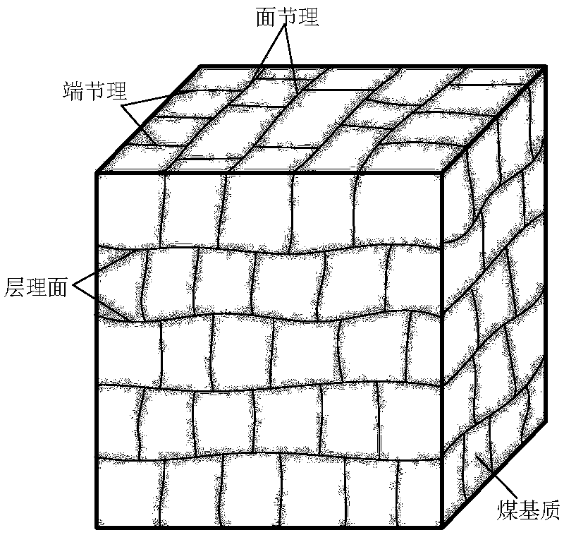 Method for calculating the absolute permeability of orthogonal anisotropic coal seam cracks