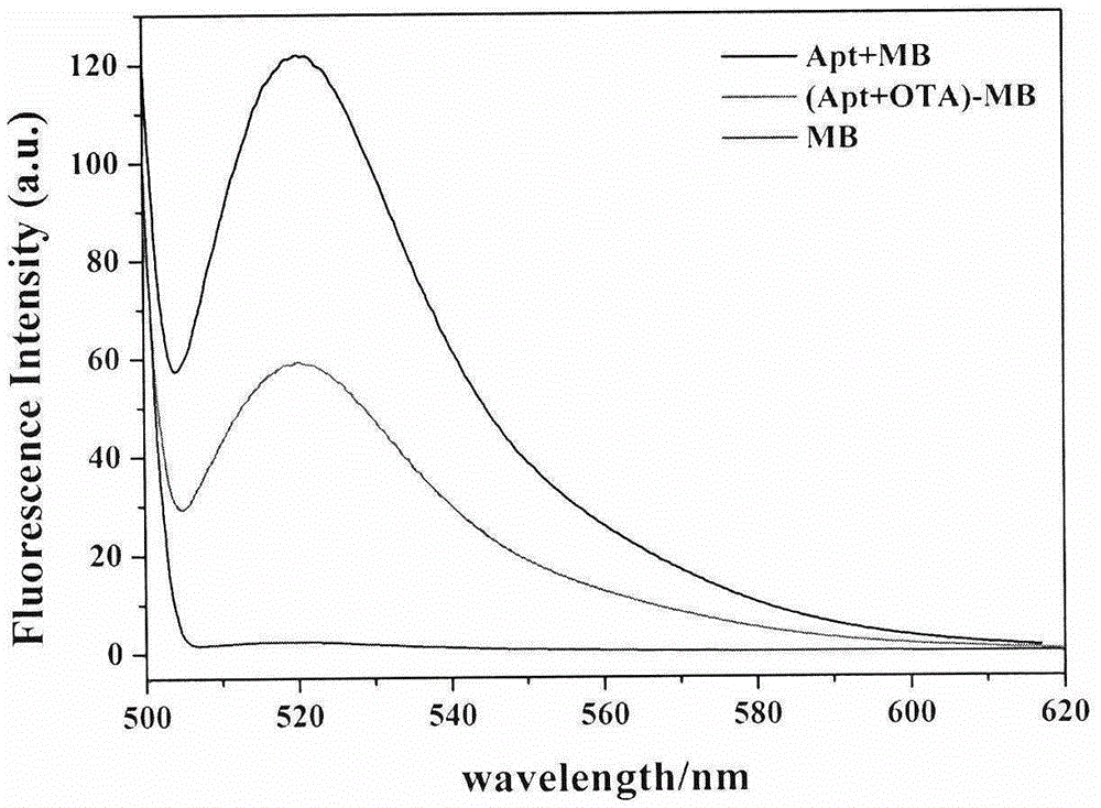 New method for rapidly detecting ochratoxin A through molecular beacon probe