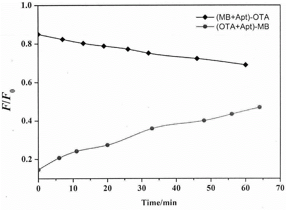 New method for rapidly detecting ochratoxin A through molecular beacon probe