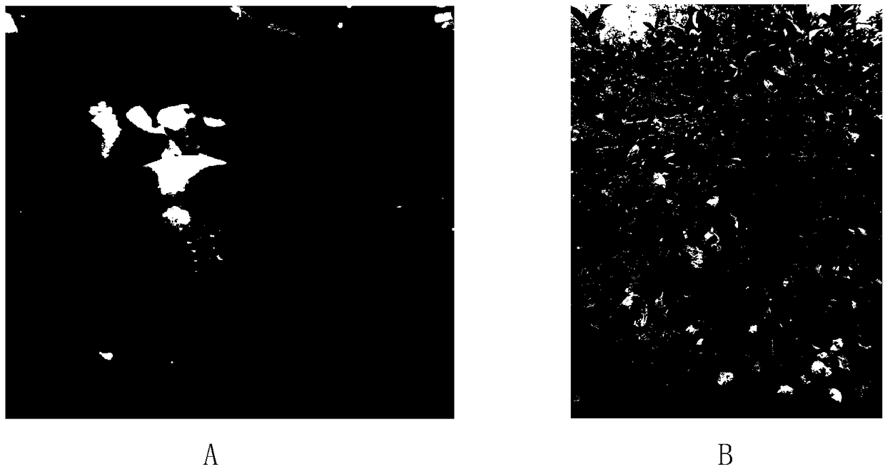 Inhibitor for apple tree viruses and making and using methods