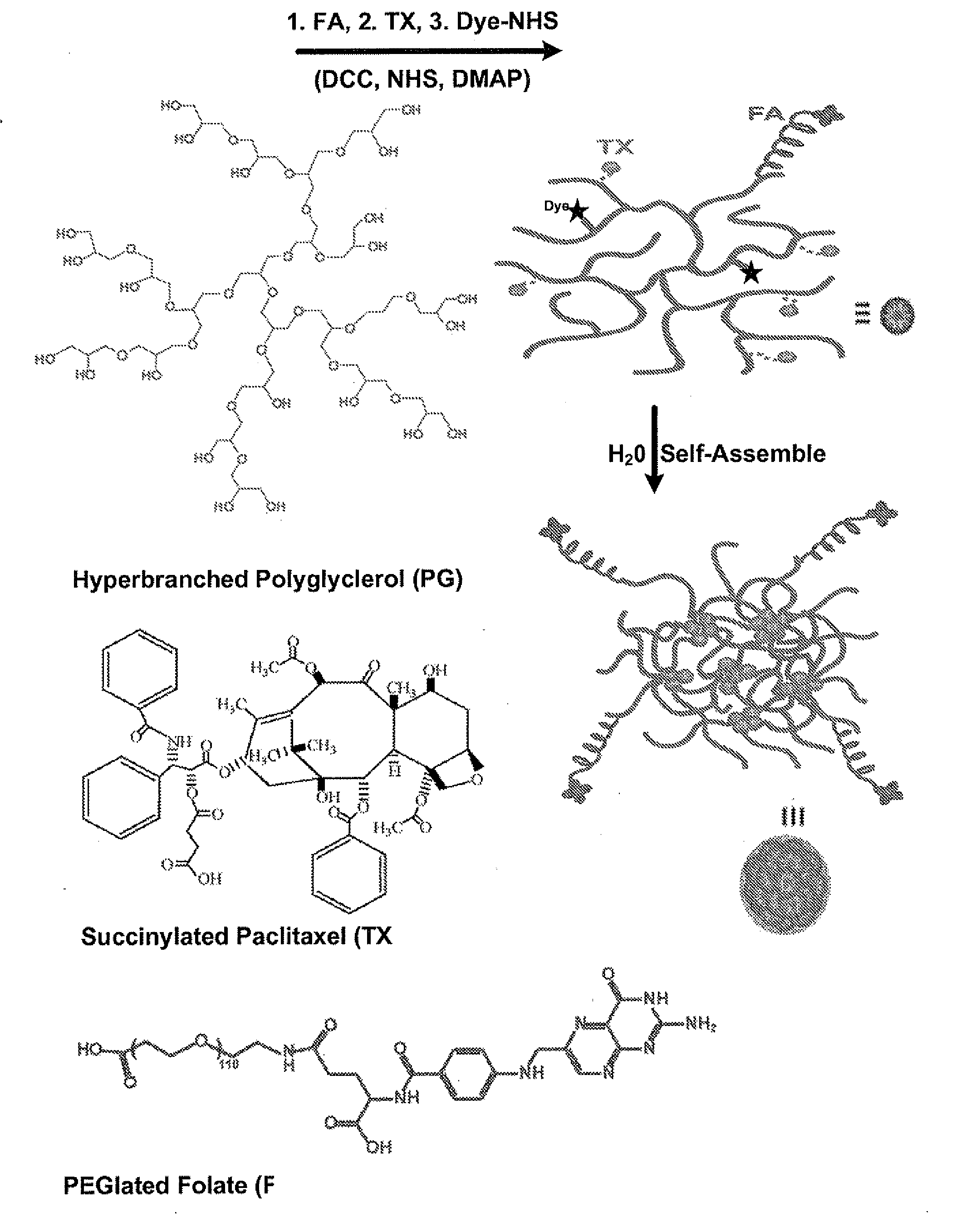 Branched Multifunctional Nanoparticle Conjugates And Their Use