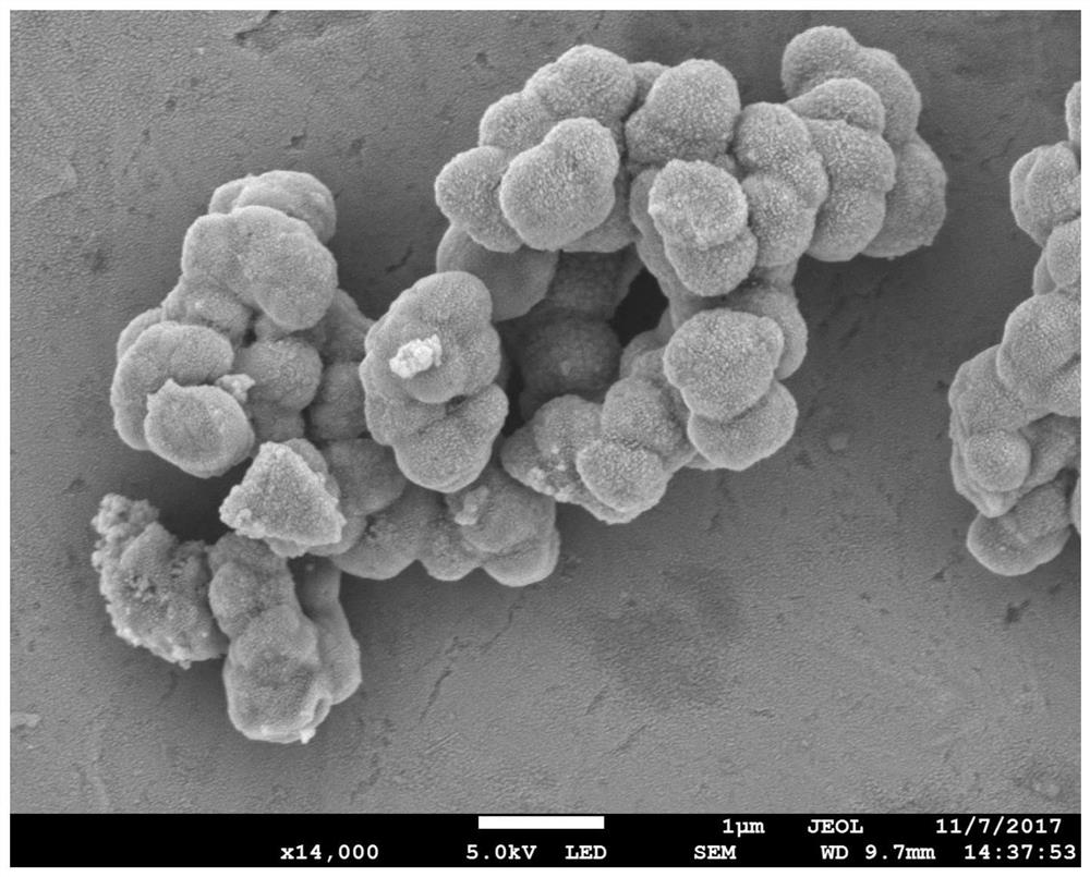 A silver-doped nanoanatase phase tio  <sub>2</sub> Powder preparation method