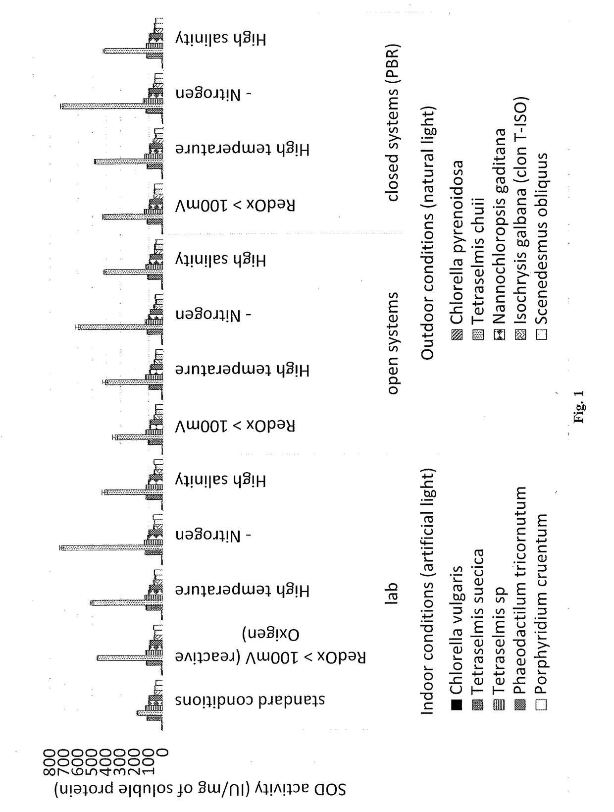 METHOD FOR OBTAINING A BIOMASS OF A MICROALGA OF THE SPECIES Tetraselmis chuii ENRICHED IN SUPEROXIDE DISMUTASE (SOD)