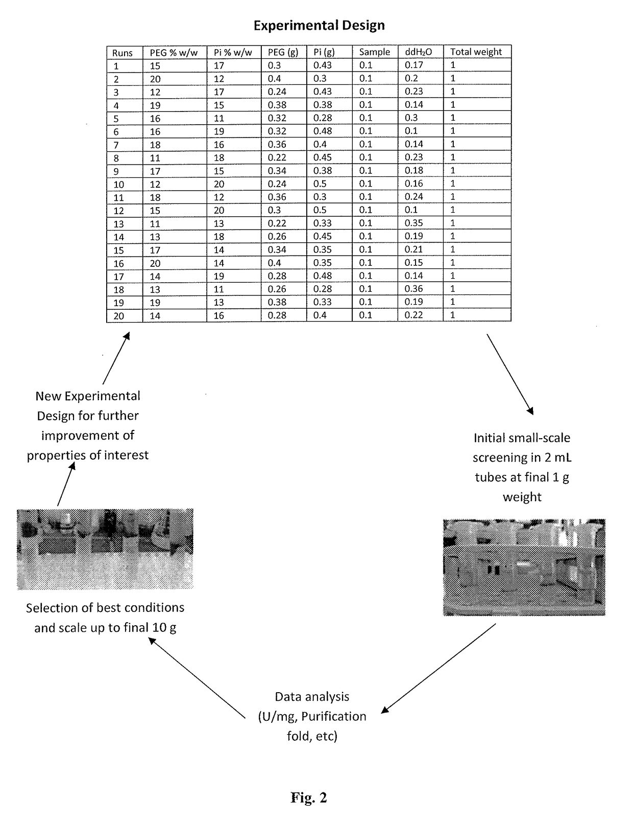 METHOD FOR OBTAINING A BIOMASS OF A MICROALGA OF THE SPECIES Tetraselmis chuii ENRICHED IN SUPEROXIDE DISMUTASE (SOD)