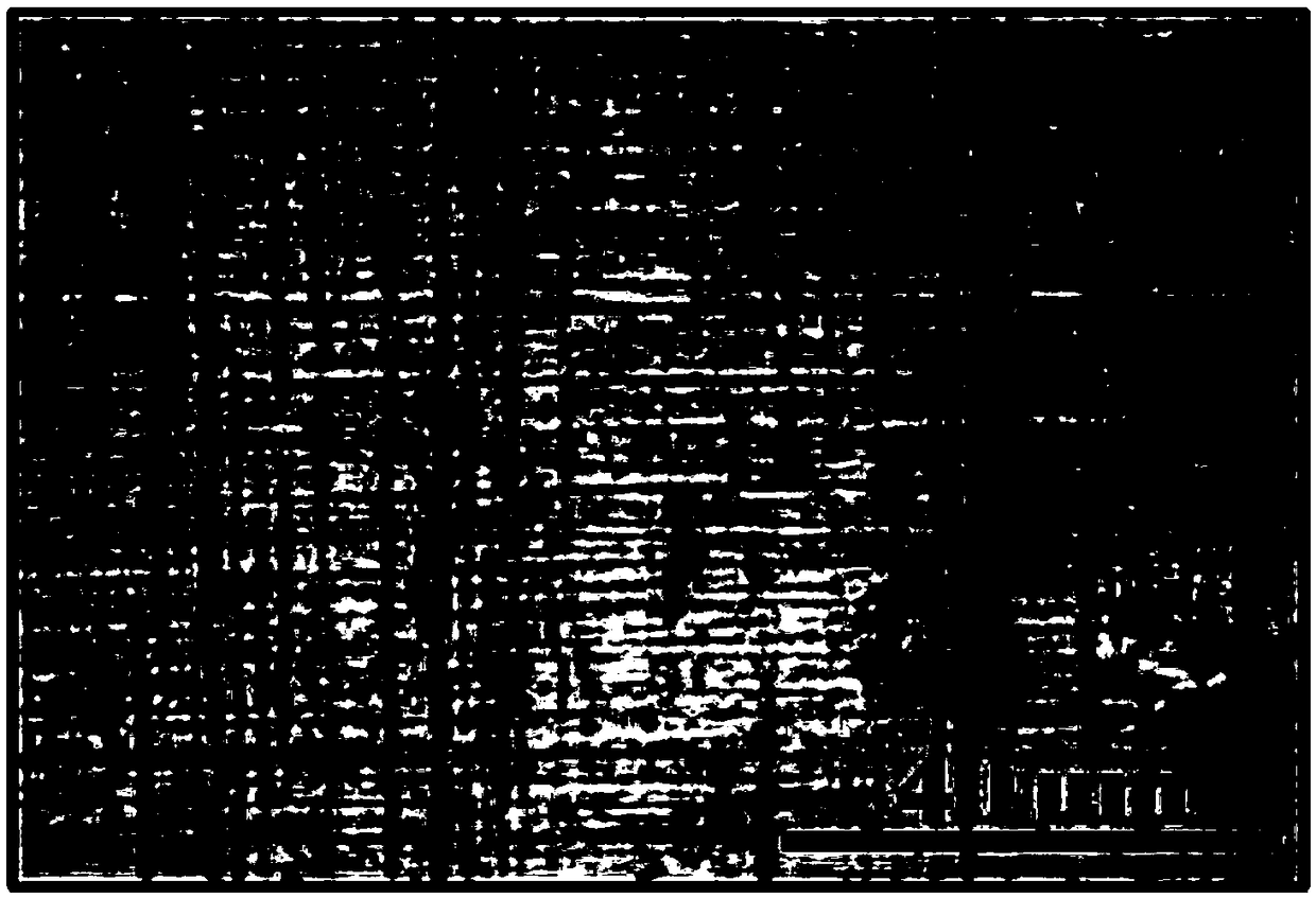 Li-containing lightweight high strength magnesium alloy and preparing method thereof