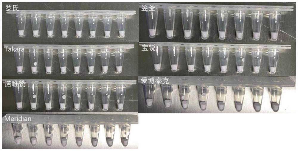 A freeze-drying protective agent, fluorescent PCR detection kit and freeze-drying process