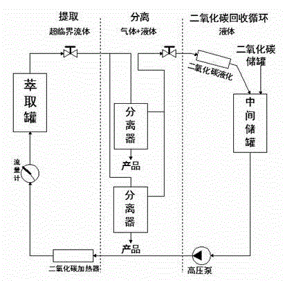 Method for removing polyaromatic hydrocarbon pollutants from camellia oil