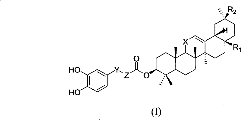 Derivatives of 3-O-caffeoyloleanane type pentacyclic triterpene, preparation method thereof and application thereof