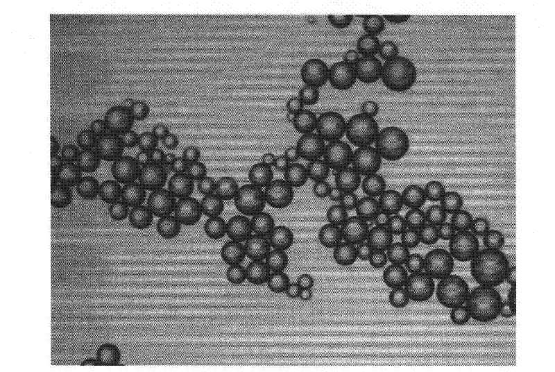 Method for preparing anionic polyacrylamide microspheres